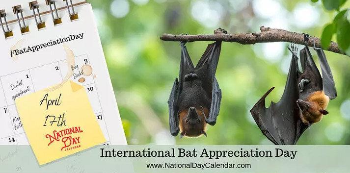 17 آوریل ؛ روز جهانی خفاش ها مبارک!