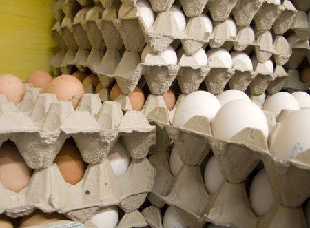 قیمت تخم مرغ اعلام شد، صادرات تخم مرغ متوقف شد