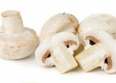 6 خاصیت شگفت انگیزِ قارچ برای سلامتی
